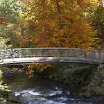 Wildbad Sued