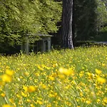 Wildbad Sued