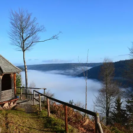 Wildbad Sued Apartment *
