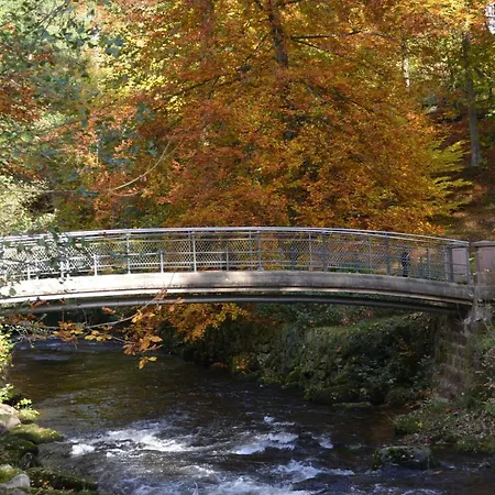 Wildbad Sued