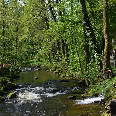 Wildbad Sued * Bad Wildbad