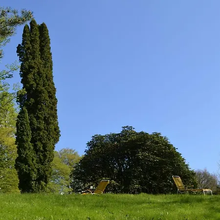 Wildbad Sued Apartment Bad Wildbad