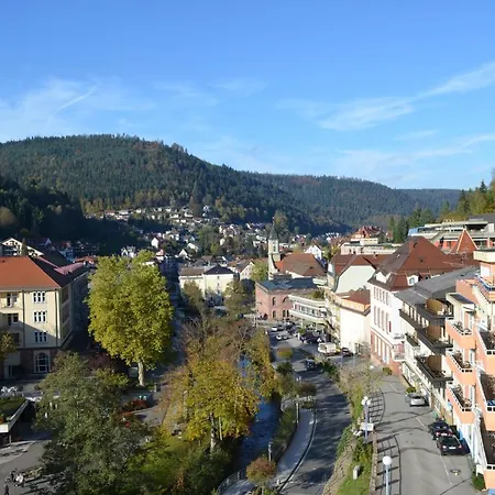 Wildbad Sued *