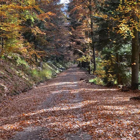 Wildbad Sued Apartment Bad Wildbad