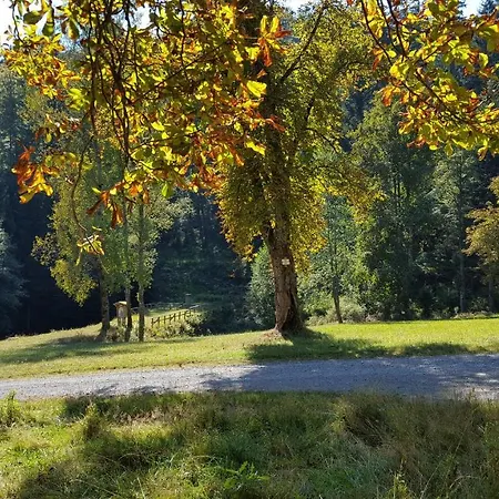 Wildbad Sued