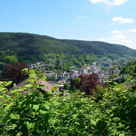 Wildbad Sued Apartment